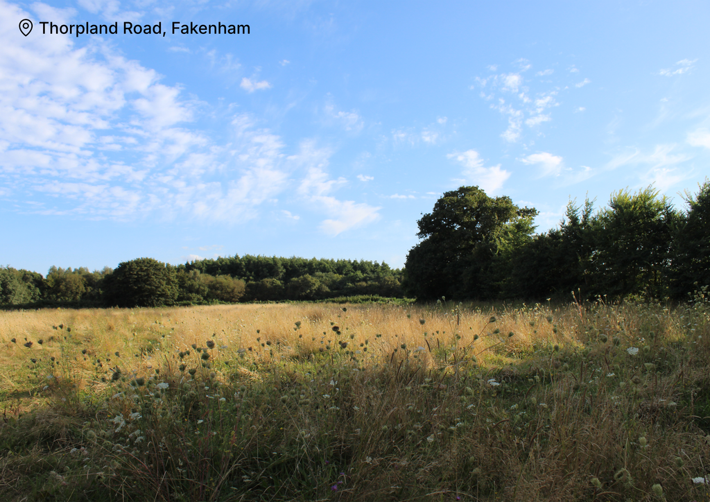 2027 Norfolk calendar - Thorpland Road Fakenham photograph