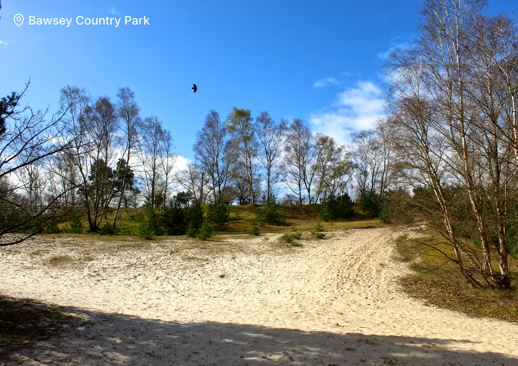 2027 Norfolk calendar - Bawsey Country Park photograph